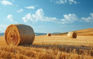 ai generiert Heu Ballen auf das Feld nach Ernte foto