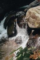 erfrischend Curug sentul klar Fluss fließend von Wasserfall, umgeben durch Wälder, Ideal zum Natur Liebhaber foto