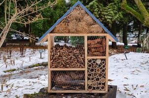 Insekt Haus, Heu und Zapfen im das Haus, Stöcke damit Das Insekten ausblenden zum das Winter foto