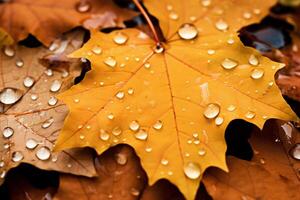 ai generiert bunt Herbst Ahorn Blätter mit Wasser Tropfen. Nahansicht. foto