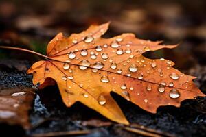 ai generiert bunt Herbst Ahorn Blätter mit Wasser Tropfen. Nahansicht. foto