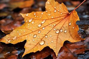 ai generiert bunt Herbst Ahorn Blätter mit Wasser Tropfen. Nahansicht. foto