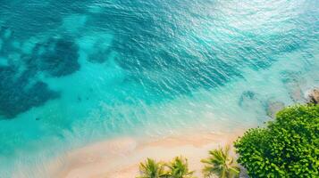 azurblau Küste von das Ozean mit Palme Bäume, Sand, Surfen und Muscheln. ai generiert foto