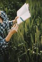 Clever Bauernhof. Farmer mit Tablette im das Feld. Landwirtschaft, Gartenarbeit oder Ökologie Konzept. Ernte. Agro Geschäft. foto