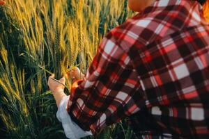 Clever Bauernhof. Farmer mit Tablette im das Feld. Landwirtschaft, Gartenarbeit oder Ökologie Konzept. Ernte. Agro Geschäft. foto