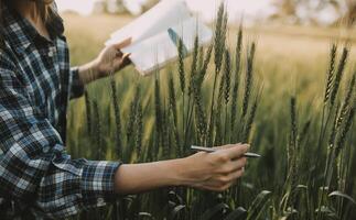 Clever Bauernhof. Farmer mit Tablette im das Feld. Landwirtschaft, Gartenarbeit oder Ökologie Konzept. Ernte. Agro Geschäft. foto