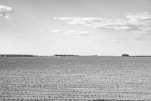 fotografie zum thema großes leeres bauernhoffeld für die organische ernte foto