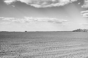 fotografie zum thema großes leeres bauernhoffeld für die organische ernte foto