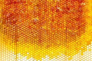 Tropfen Bienenhonig tropfen aus sechseckigen Waben, die mit goldenem Nektar gefüllt sind foto