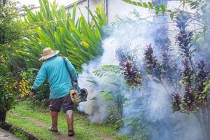 ein Mann ist Arbeiten beschlagen zu beseitigen Mücken. im das Regen, Jahreszeit Sein Vorsichtig von Mücken und schützen gegen Dengue-Fieber Fieber Ausbreitung. Konzept von Gesundheitswesen foto