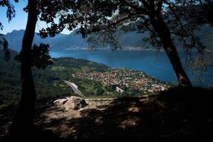 Aussicht durch das Bäume zu das Ufer von See como foto