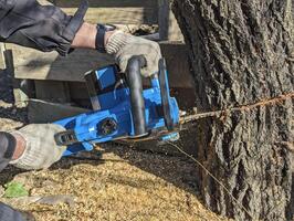 Schneiden Baum mit Kettensäge im ein Sägewerk foto