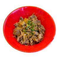 japanisch Rindfleisch Reis Schüssel oder Gyudon auf rot Schüssel isoliert auf Weiß Hintergrund foto
