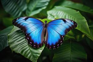 ai generiert schön stilisiert Blau Monarch Schmetterling auf natürlich Blätter Umfeld, ai generiert foto