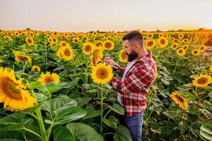 Farmer ist Stehen im seine Sonnenblume Feld welche ist im Blüte. er ist Prüfung Fortschritt von das Pflanzen. foto