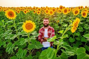 glücklich Farmer ist Stehen im seine Sonnenblume Feld welche ist im Blüte. er ist glücklich weil von gut Jahreszeit und gut Fortschritt von das Pflanzen. foto