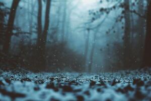 ai generiert mysteriös dunkel Wald im ein Nebel beim Nacht. magisch Atmosphäre. Märchen Landschaft foto