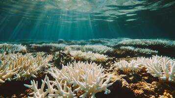 ai generiert unter Wasser Aussicht von Koralle Riff mit Sonnenlicht. tropisch unter Wasser Hintergrund. foto