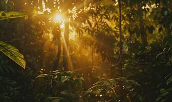 ai generiert Sonnenlicht leuchtenden durch das Bäume im das Dschungel. natürlich Hintergrund. foto