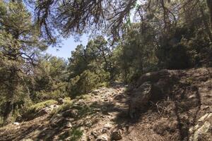 Landschaften und Wanderwege von das schön Natur von das Sierra de Cazorla, jaen, Spanien. Natur Ferien Konzept. foto