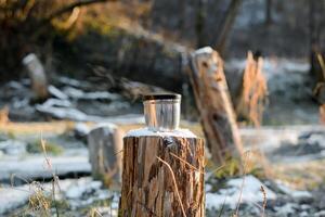 Stahl Tasse Stehen auf ein Baum Stumpf. Thermosflasche Becher mit heiß trinken, sonnig Winter Wald. foto