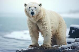 ai generiert Weiß Nord Polar- tragen, groß flauschige Raubtier Stehen auf Eis Scholle und suchen beim Kamera. wild Tier foto