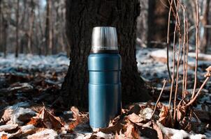 Wandern Flasche Stehen im Winter Wald, Nahansicht. Vakuum Thermosflasche zum Wandern und Reisen foto