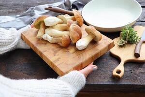 Frau halten frisch Wald Pilze auf ein dunkel Hintergrund, Herbst cep Pilze. Pilze pflücken und Kochen foto