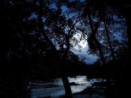 Nacht im Wald mit Mondschein und Fluss foto