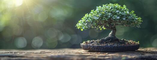 ai generiert Nahansicht von traditionell Bonsai Baum auf hölzern Eiche Tabelle reichlich Kopieren Raum verfügbar foto