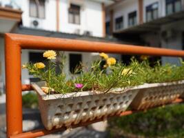 ein Reihe von bunt Blume Töpfe hängend auf ein Weiß Metall Geländer foto