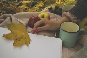 ein Tassen von Tee, rot Äpfel, Album und Bleistifte zum Zeichnung auf das warm Plaid im das Herbst Park. Herbst immer noch Leben. foto