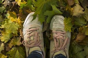 Frau Gehen im Herbst Park. Mädchen Füße im Turnschuhe auf das gefallen Blätter. foto