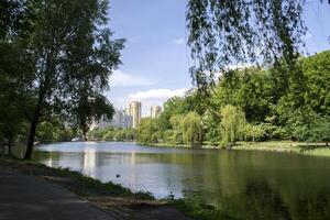 Erholung Bereich zum städtisch Einwohner. schön Sommer- Stadtbild. foto