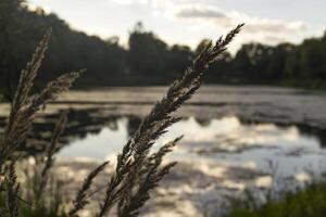 schön See Landschaft und wolkig Himmel. foto