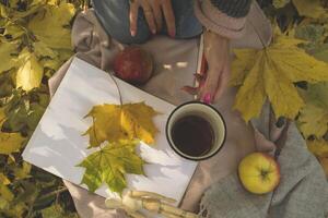 ein Tasse von Tee, gefallen Blätter, Album und Bleistifte zum Zeichnung auf das warm Plaid im das Herbst Park. foto