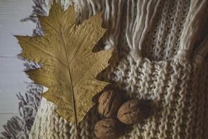 warm Schals, Gelb Blätter und Walnüsse. Herbst Hintergrund. foto