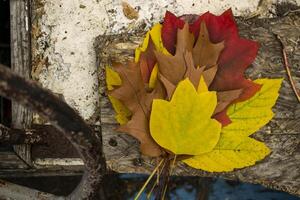 ein Strauß von Herbst Blätter auf das hölzern Hintergrund mit Kopieren Raum. Herbst Hintergrund. foto