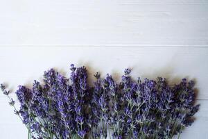 frisch Lavendel Blumen auf ein Weiß hölzern Hintergrund. foto