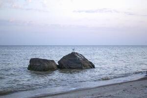 Möwen auf das groß Steine im das Meer. schön Meereslandschaft. foto