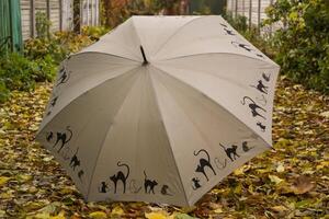 ein Regenschirm auf das Herbst Laub. foto
