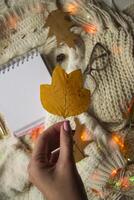 Brille, Notizblock und Herbst Blatt auf das gestrickt Plaid. Winter eben legen. Hygge Stil. foto