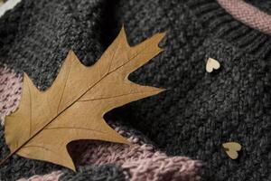 Damen Sweatshirt dekoriert mit Herbst Blätter. Sweatshirt Textur. kalt Jahreszeit. foto
