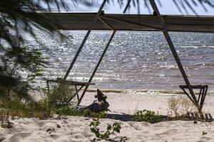 ein Laube mit Bänke auf das Strand. schön Meereslandschaft. das Platz zum ausruhen. foto