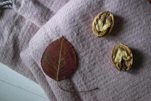 das schön gefallen Blätter und Walnüsse auf ein warm Schal. Herbst Hintergrund. foto