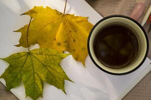 ein Tasse von Tee, gefallen Blätter, Album und Bleistifte zum Zeichnung auf das warm Plaid im das Herbst Park. foto