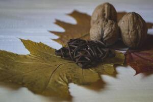 das Walnüsse und Herbst Blätter. schön Herbst Hintergrund. golden fallen. foto