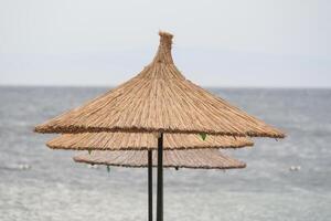 Sonnenliegen, Regenschirme und Hängematten im ein Strand foto