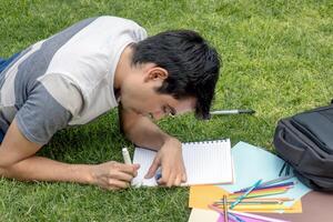 ein männlich Schüler Schreiben im ein Notizbuch auf das Gras foto