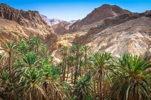 Berg Oase chebika beim Rand von Sahara, Tunesien, Afrika foto